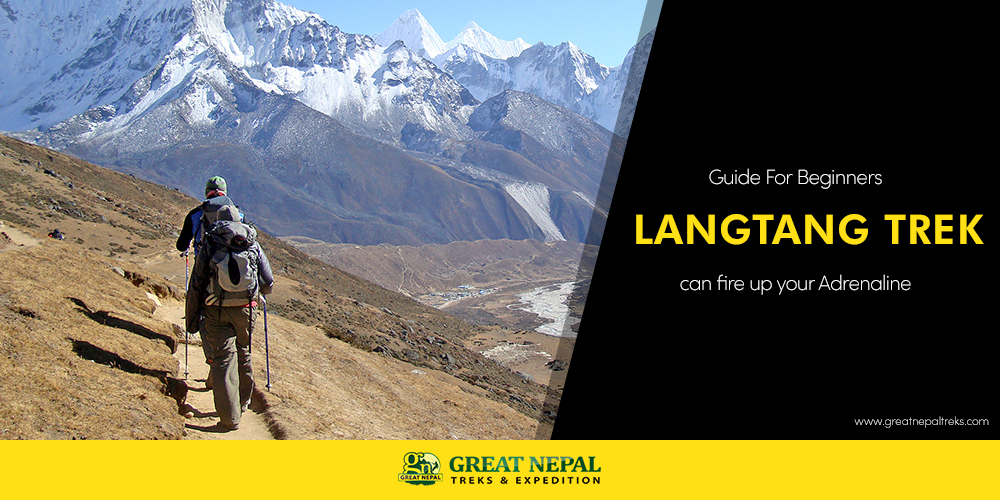 langtang trek