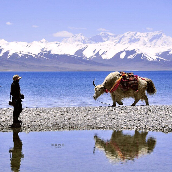 tibet destintion package