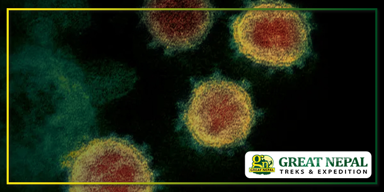 coronavirus covid-19 shuts everest expedition