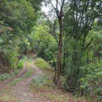 Shivapuri national park trail